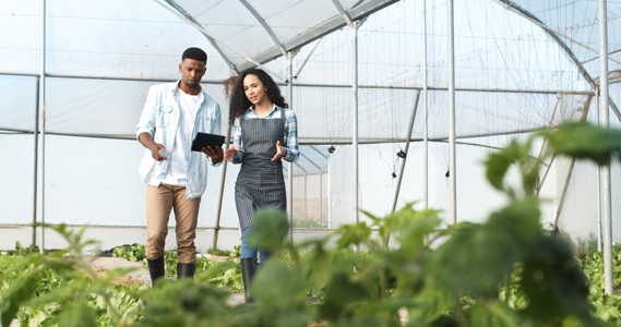 LIC - Adopting SAFe in Agriculture